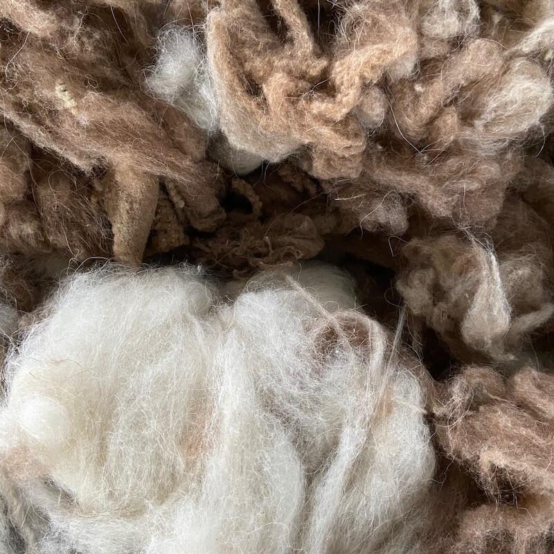 Fibra de lana de llama en colores naturales